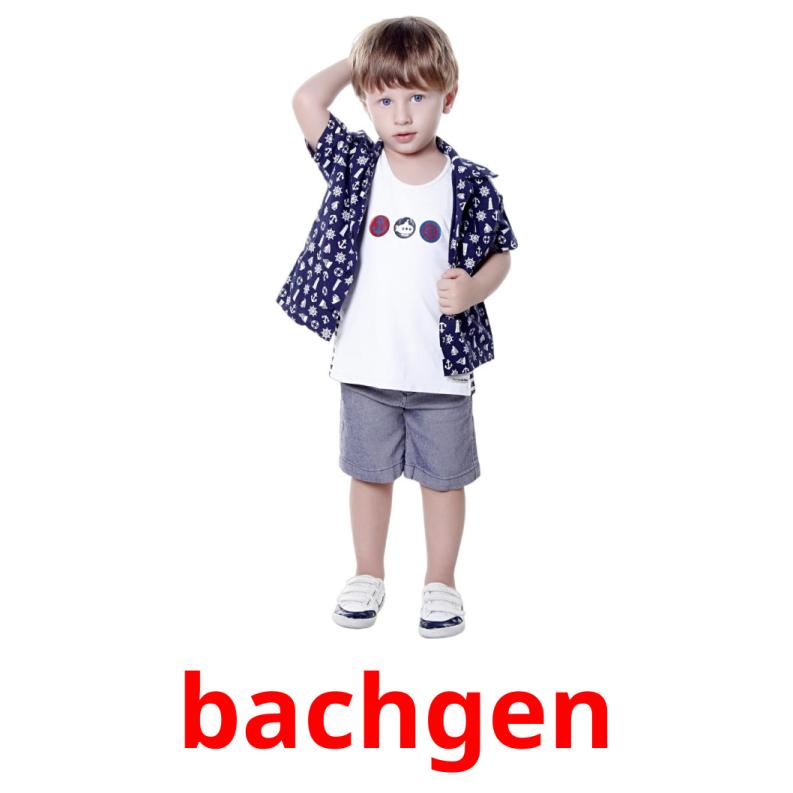 bachgen picture flashcards