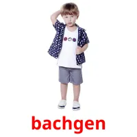 bachgen flashcards illustrate