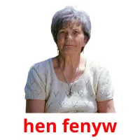 hen fenyw flashcards illustrate