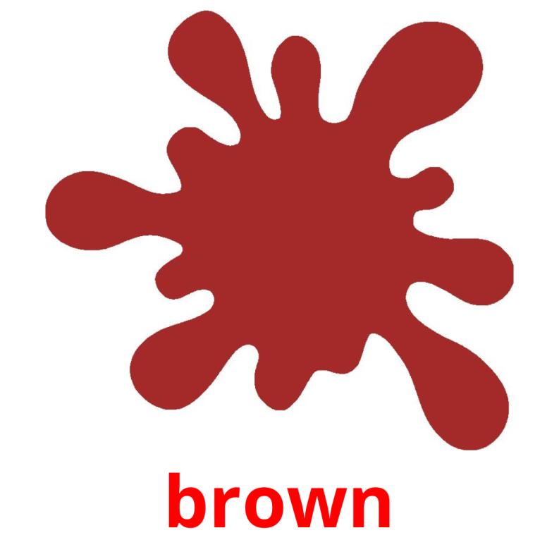 brown Bildkarteikarten
