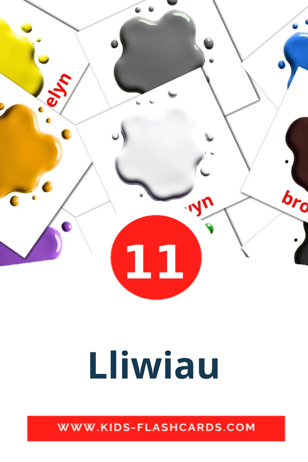 11 Lliwiau Picture Cards for Kindergarden in welsh