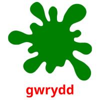 gwrydd picture flashcards