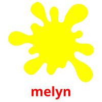 melyn picture flashcards