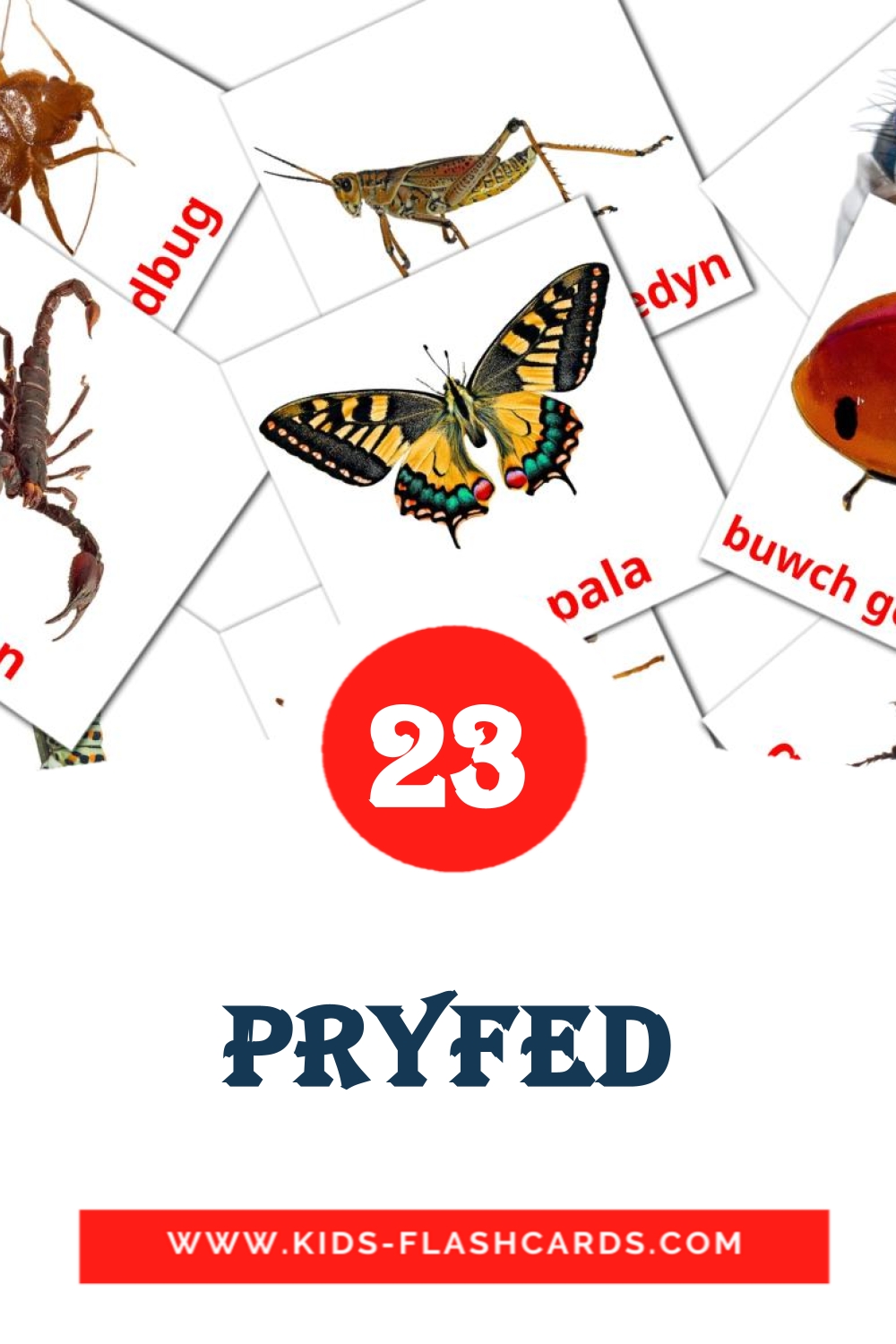 23 tarjetas didacticas de Pryfed para el jardín de infancia en galés