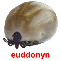 euddonyn карточки энциклопедических знаний