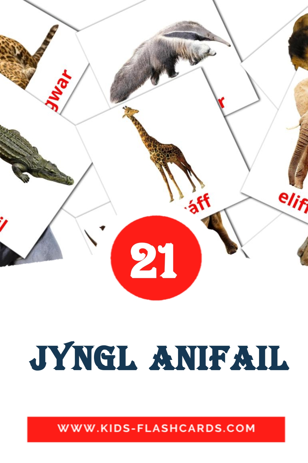21  jyngl anifail Bildkarten für den Kindergarten auf Walisisch