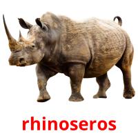 rhinoseros Bildkarteikarten