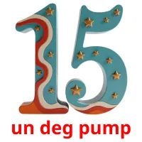 un deg pump flashcards illustrate