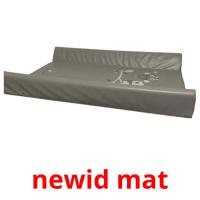 newid mat picture flashcards