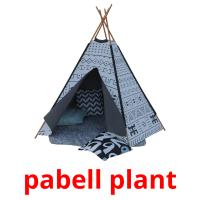 pabell plant flashcards illustrate