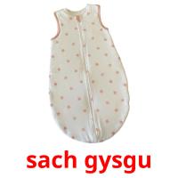 sach gysgu picture flashcards