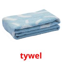 tywel picture flashcards