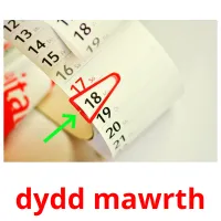 dydd mawrth picture flashcards