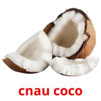 cnau coco Tarjetas didacticas