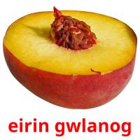 eirin gwlanog Tarjetas didacticas