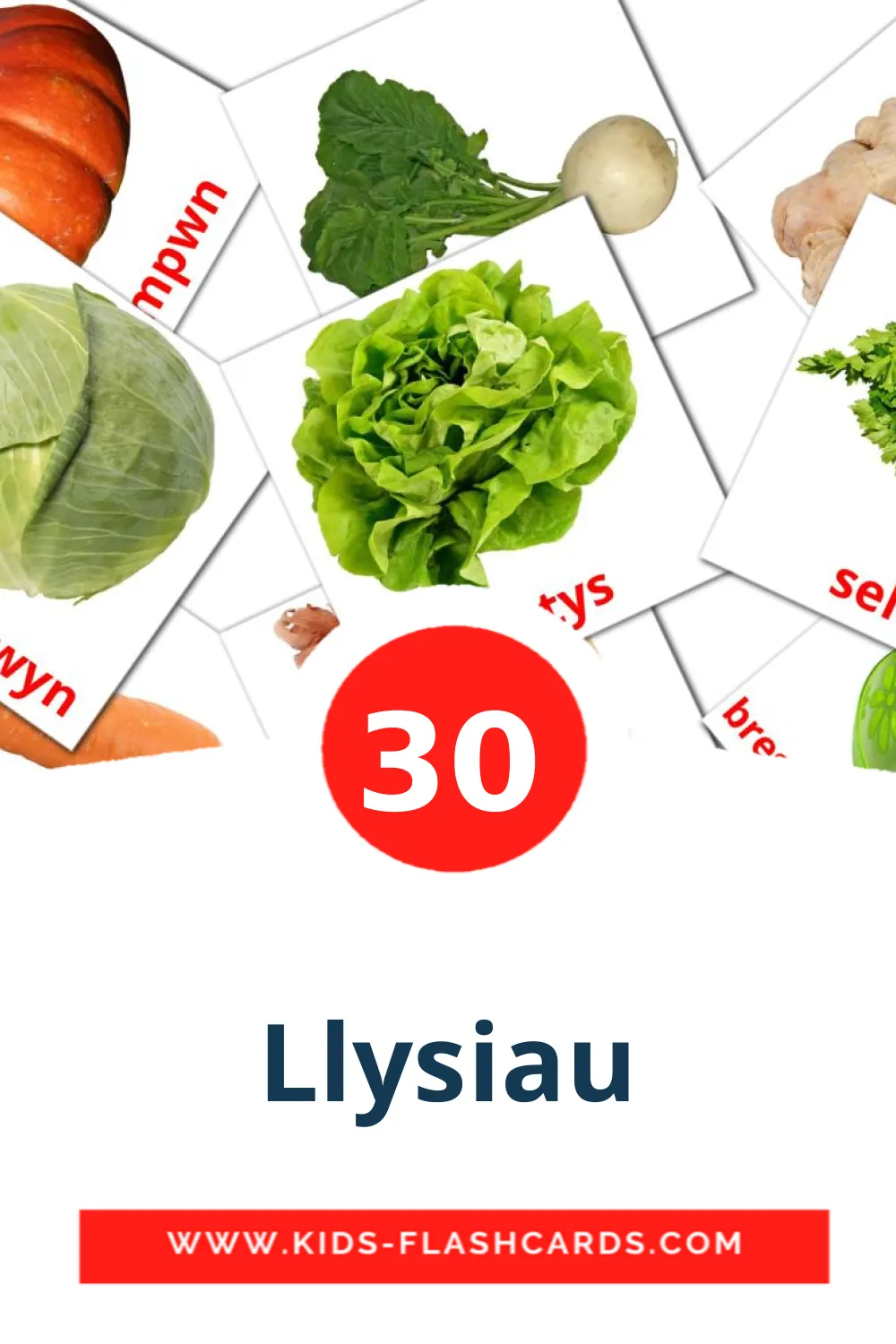 30 Cartões com Imagens de Llysiau para Jardim de Infância em welsh