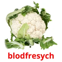 blodfresych cartões com imagens