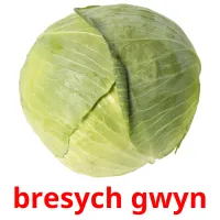 bresych gwyn cartões com imagens