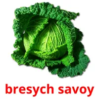 bresych savoy cartões com imagens