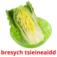 bresych tsieineaidd cartões com imagens