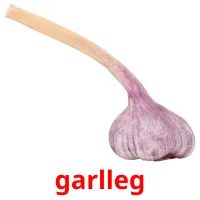 garlleg cartões com imagens