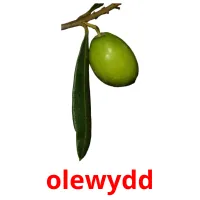 olewydd cartões com imagens
