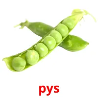 pys cartões com imagens