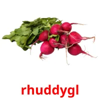 rhuddygl cartões com imagens