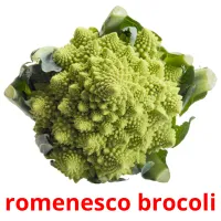 romenesco brocoli cartões com imagens