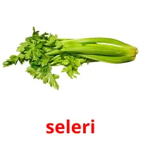 seleri cartões com imagens
