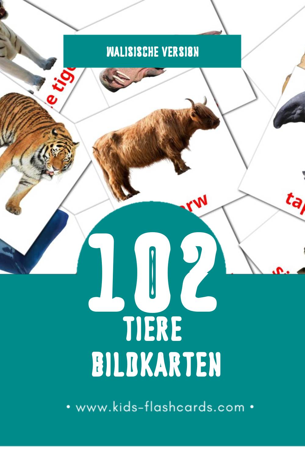 Visual anifail Flashcards für Kleinkinder (102 Karten in Walisisch)