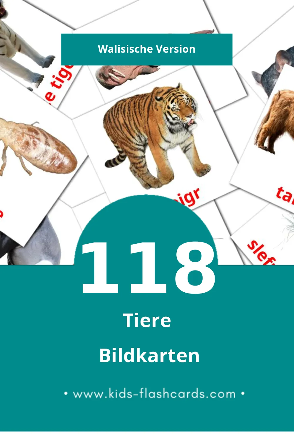 Visual anifail Flashcards für Kleinkinder (118 Karten in Walisisch)