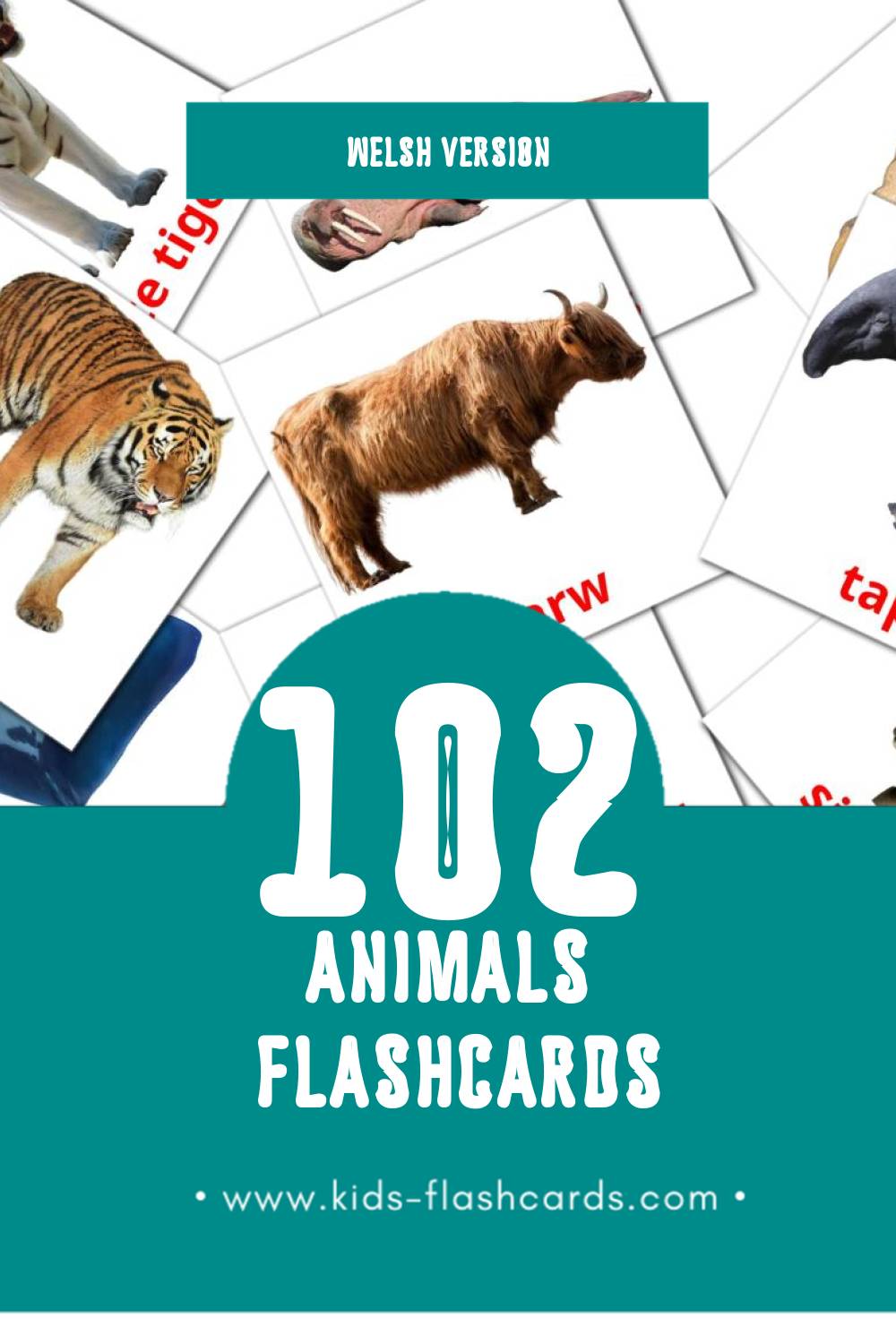 Visual anifail Flashcards for Toddlers (102 cards in Welsh)