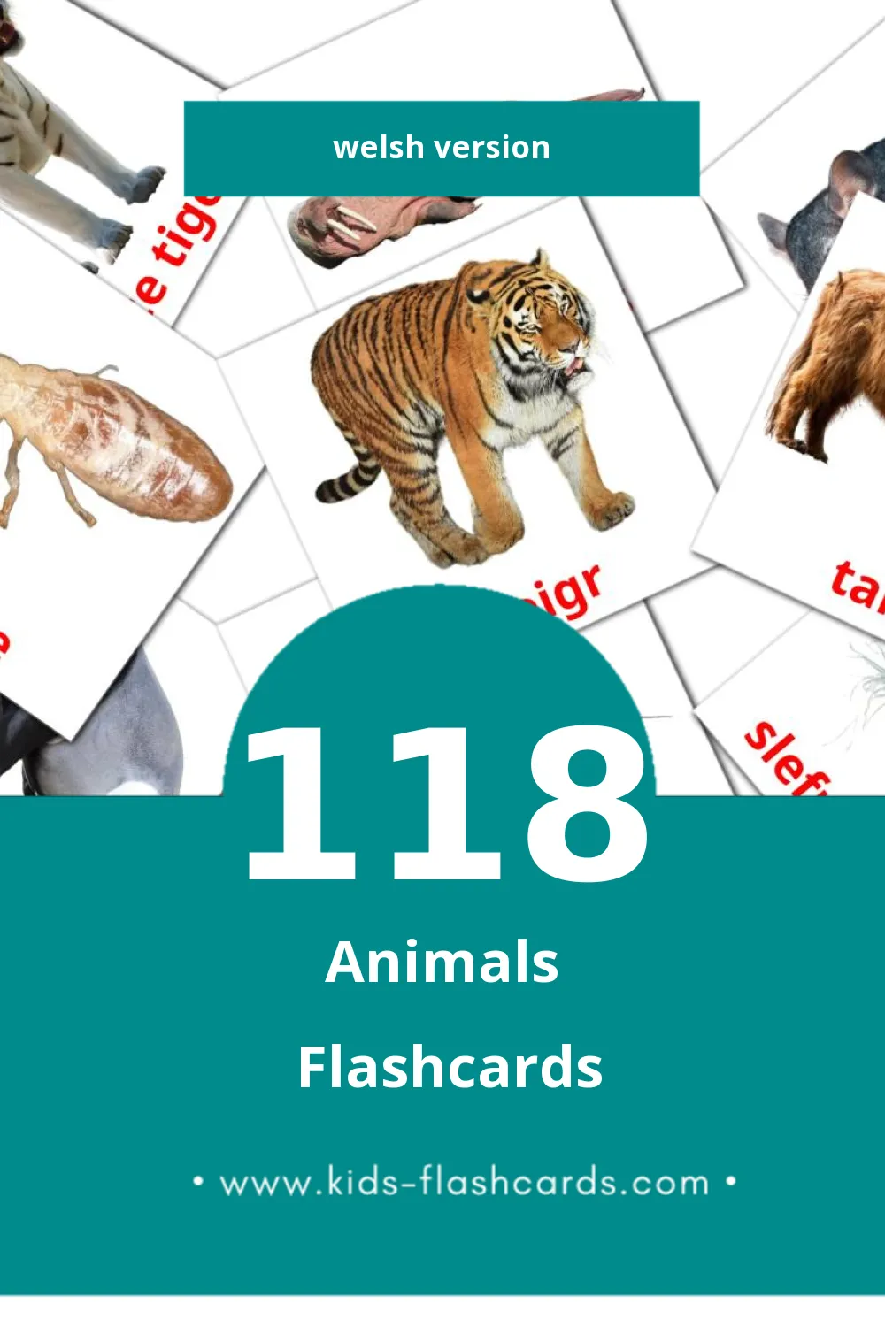 Visual anifail Flashcards for Toddlers (118 cards in Welsh)