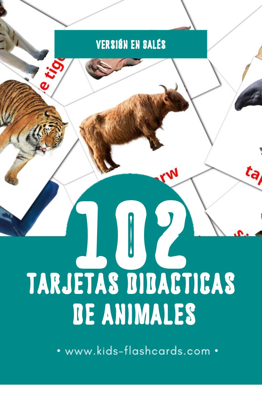 Tarjetas visuales de anifail para niños pequeños (112 tarjetas en Galés)