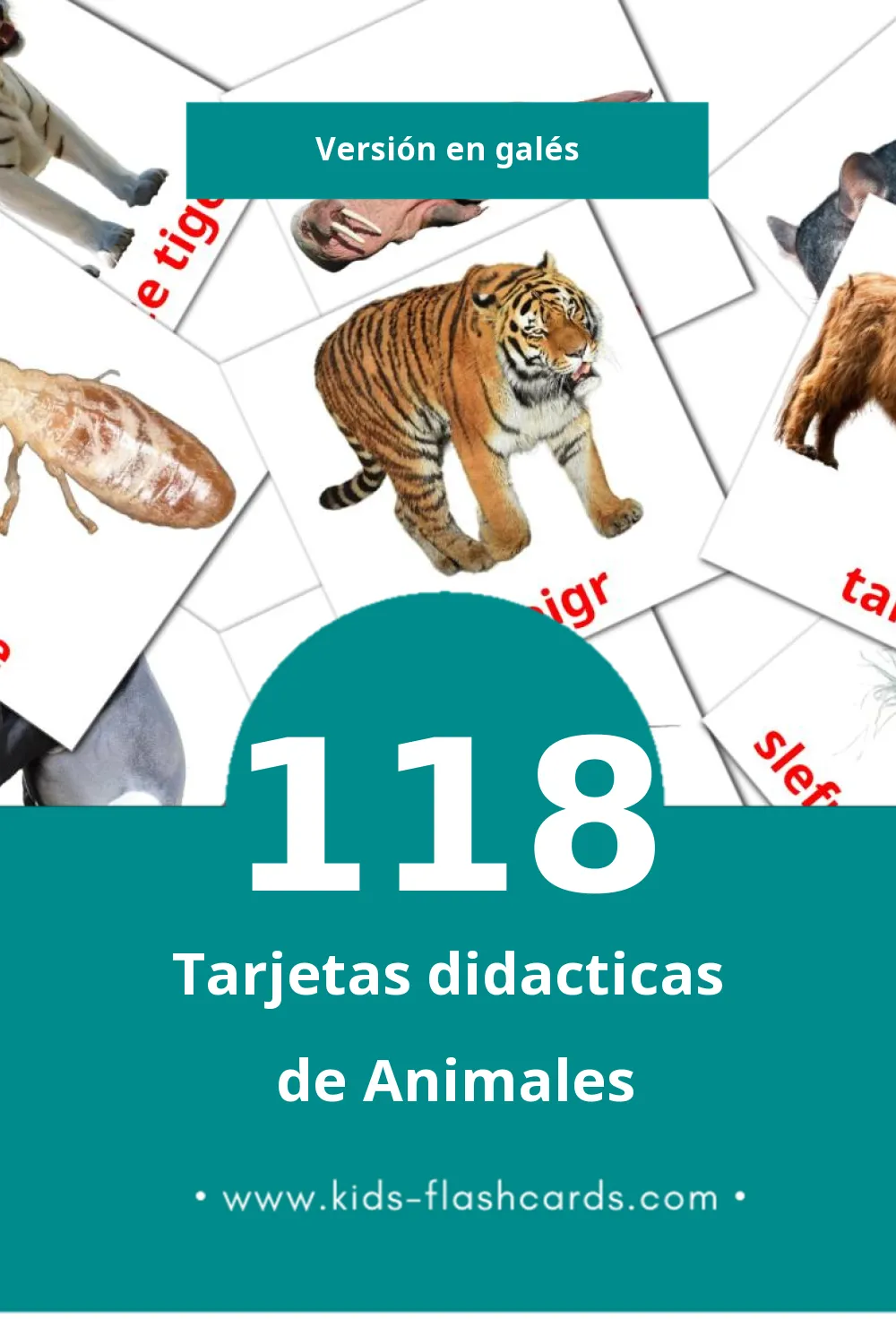 Tarjetas visuales de anifail para niños pequeños (118 tarjetas en Galés)