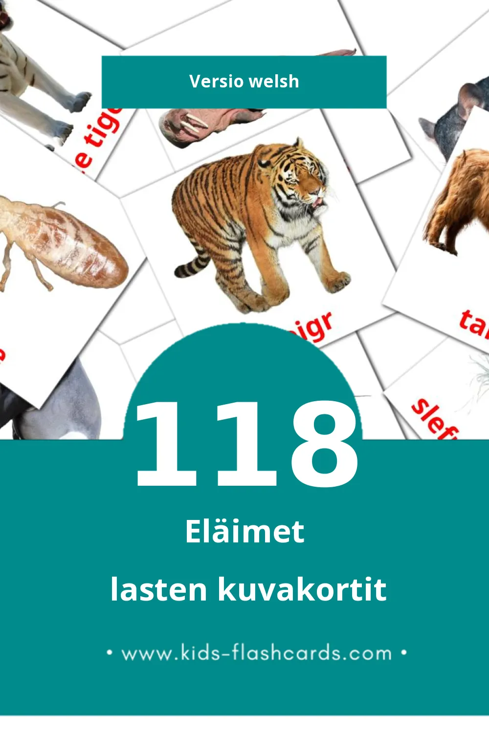 anifail lasten kuvakortit pikkulapsille (118 korttia Welshksi)