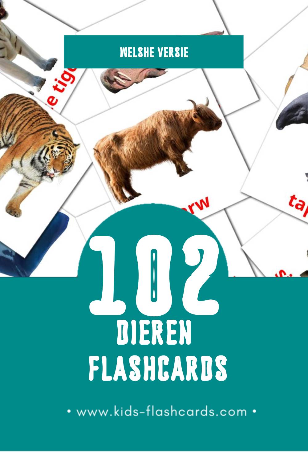 Visuele anifail Flashcards voor Kleuters (112 kaarten in het Welsh)