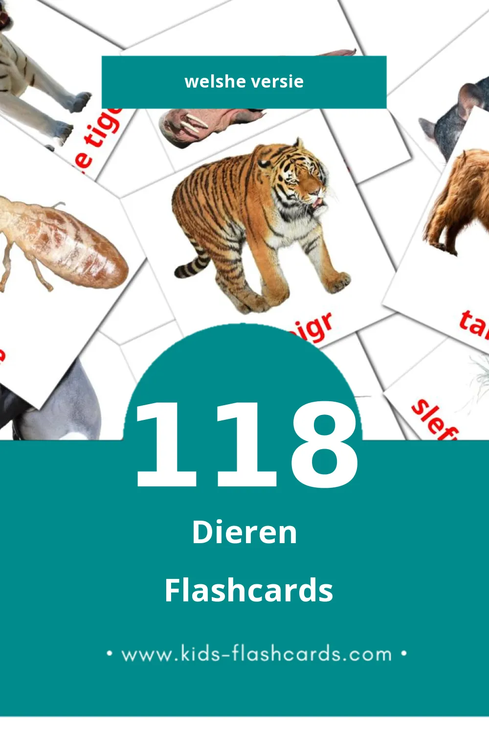 Visuele anifail Flashcards voor Kleuters (118 kaarten in het Welsh)