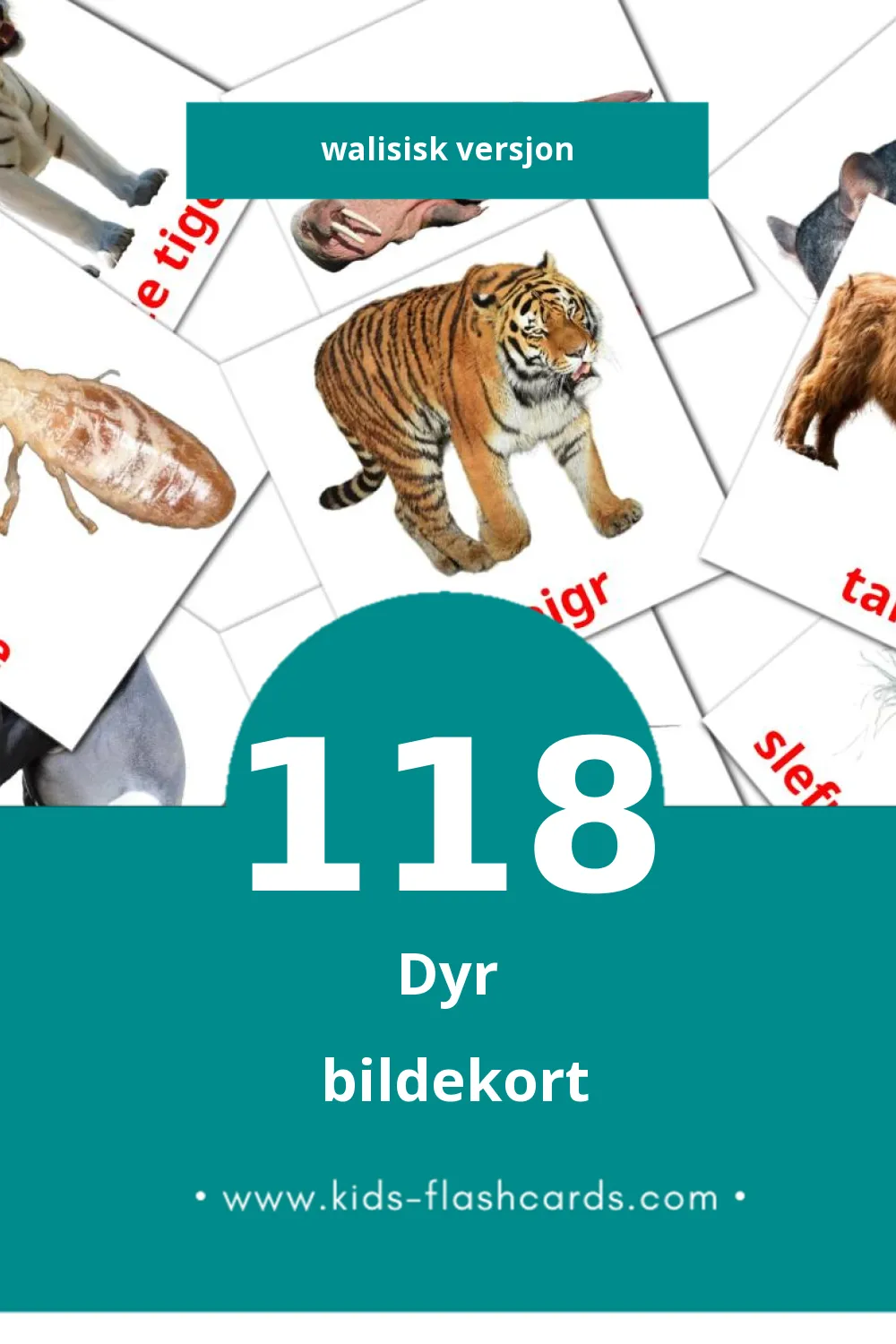 Visuelle anifail bildekort for småbarn (118 kort på Walisisk)