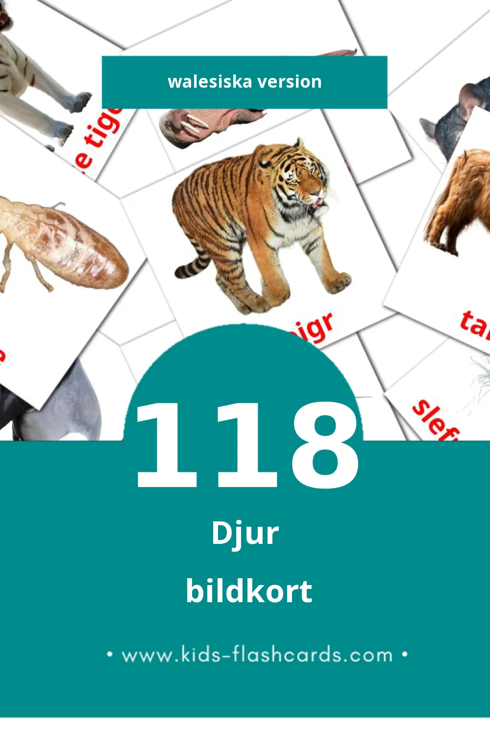 Visuella anifail för småbarn (118 bildkort för barn på Walesiska)