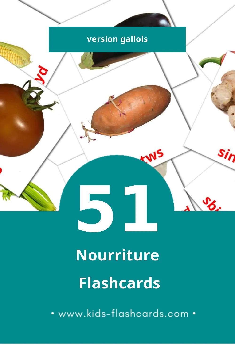 Flashcards Visual bwyd pour les tout-petits (51 cartes en Gallois)