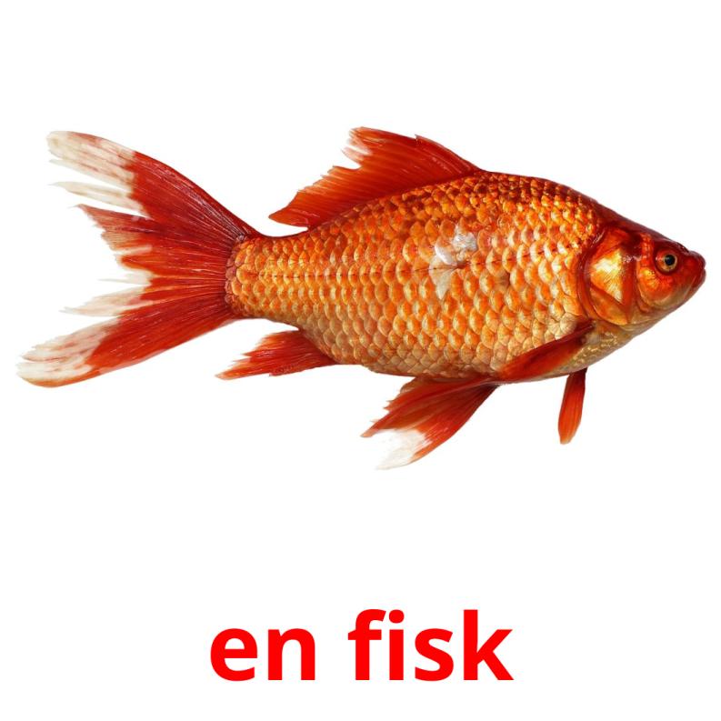 en fisk picture flashcards