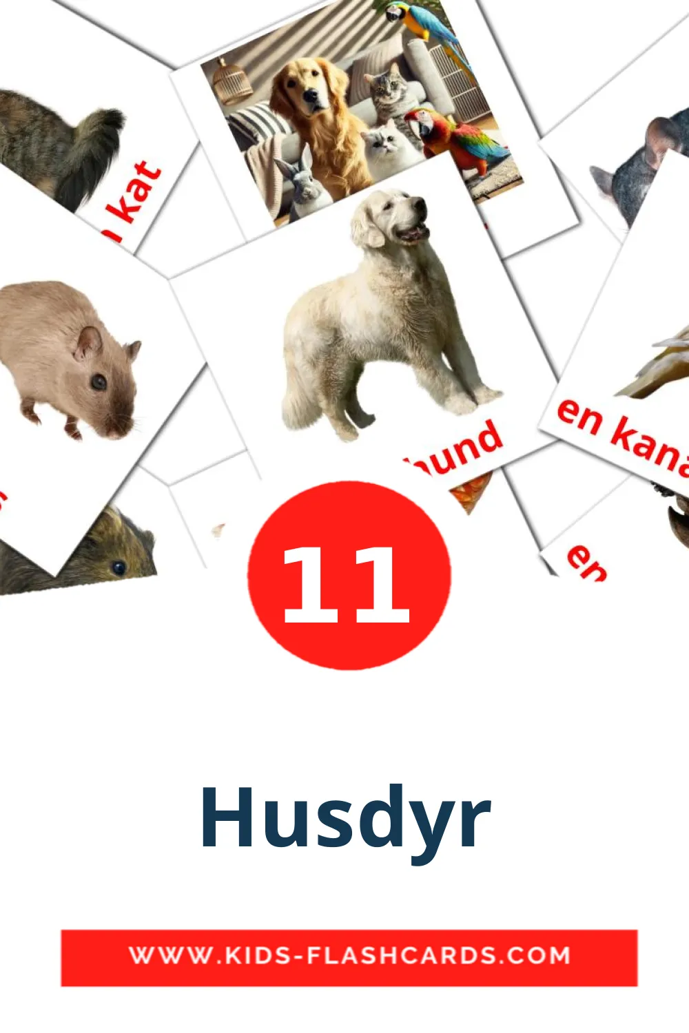 11 Husdyr fotokaarten voor kleuters in het dansk