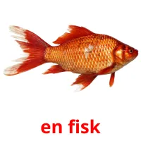 en fisk ansichtkaarten