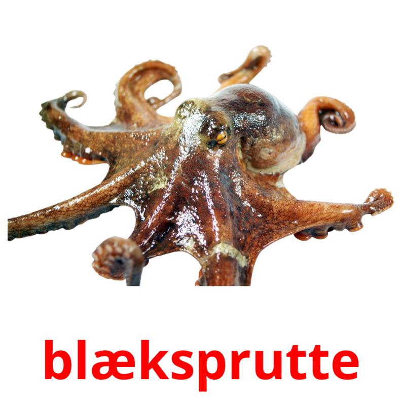 blæksprutte карточки энциклопедических знаний