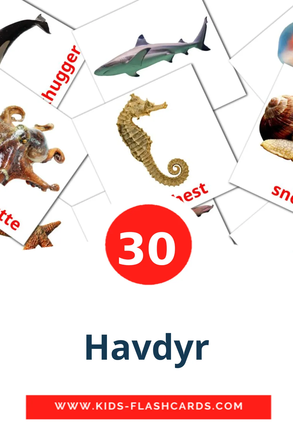 30 cartes illustrées de Havdyr pour la maternelle en danse