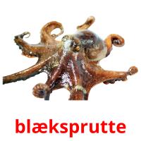 blæksprutte picture flashcards