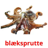 blæksprutte cartes flash