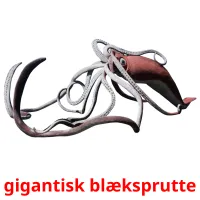 gigantisk blæksprutte cartes flash